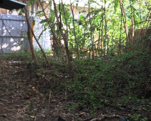 台南除草, 台南環境整理, 台南鋸樹, 台南除草鋸樹, 
                    台南代客除草, 台南除(割)草作業, 台南割草, 台南除草, 台南割草整地, 台南除草整地, 台南除草工, 台南整地除草費用, 台南空地割草, 台南整地除草, 
                    台南空地除草