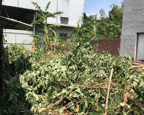 台南除草, 台南環境整理, 台南鋸樹, 台南除草鋸樹, 
                    台南代客除草, 台南除(割)草作業, 台南割草, 台南除草, 台南割草整地, 台南除草整地, 台南除草工, 台南整地除草費用, 台南空地割草, 台南整地除草, 
                    台南空地除草