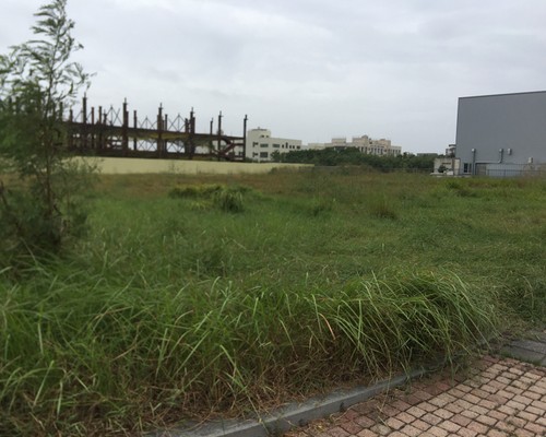 台南建地除草, 台南建地割草, 台南環境清理, 台南除草景觀工程, 台南重劃土地除草, 台南果樹農地除草, 台南園區空地除草, 台南除草鋸樹, 台南墓地清理, 台南道路除草, 
    	台南圍籬工程除草, 台南代客除草, 台南除(割)草作業, 台南割草, 台南除草, 台南割草整地, 台南除草整地, 台南空地除草價格, 台南除草工, 台南整地除草費用, 
        台南空地割草, 台南整地除草, 台南空地除草