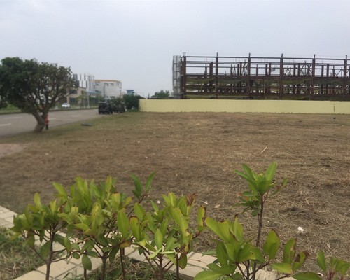 台南建地除草, 台南建地割草, 台南環境清理, 台南除草景觀工程, 台南重劃土地除草, 台南果樹農地除草, 台南園區空地除草, 台南除草鋸樹, 台南墓地清理, 台南道路除草, 
    	台南圍籬工程除草, 台南代客除草, 台南除(割)草作業, 台南割草, 台南除草, 台南割草整地, 台南除草整地, 台南空地除草價格, 台南除草工, 台南整地除草費用, 
        台南空地割草, 台南整地除草, 台南空地除草