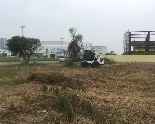 台南建地除草, 台南建地割草, 台南環境清理, 台南除草景觀工程, 台南重劃土地除草, 台南果樹農地除草, 台南園區空地除草, 台南除草鋸樹, 台南墓地清理, 台南道路除草, 
    	台南圍籬工程除草, 台南代客除草, 台南除(割)草作業, 台南割草, 台南除草, 台南割草整地, 台南除草整地, 台南空地除草價格, 台南除草工, 台南整地除草費用, 
        台南空地割草, 台南整地除草, 台南空地除草