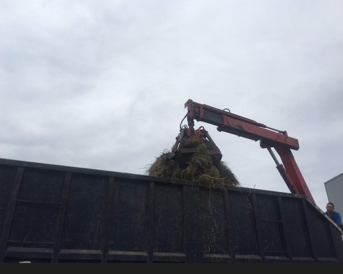 台南建地除草, 台南建地割草, 台南環境清理, 台南除草景觀工程, 台南重劃土地除草, 台南果樹農地除草, 台南園區空地除草, 台南除草鋸樹, 台南墓地清理, 台南道路除草, 
    	台南圍籬工程除草, 台南代客除草, 台南除(割)草作業, 台南割草, 台南除草, 台南割草整地, 台南除草整地, 台南空地除草價格, 台南除草工, 台南整地除草費用, 
        台南空地割草, 台南整地除草, 台南空地除草