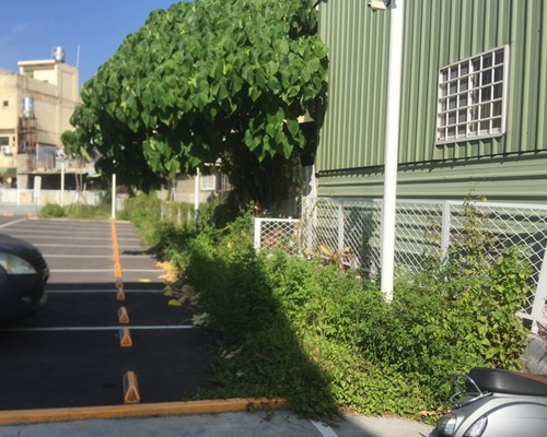 台南割草, 台南除草, 台南割草整地, 台南除草整地, 台南代客除草, 台南空地除草價格, 台南除草工, 台南整地除草費用, 
        台南建地割草, 台南整地除草, 台南建地除草