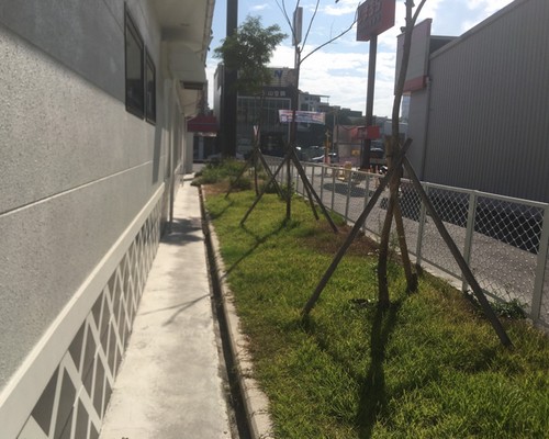 台南割草, 台南除草, 台南割草整地, 台南除草整地, 台南代客除草, 台南空地除草價格, 台南除草工, 台南整地除草費用, 
        台南建地割草, 台南整地除草, 台南建地除草