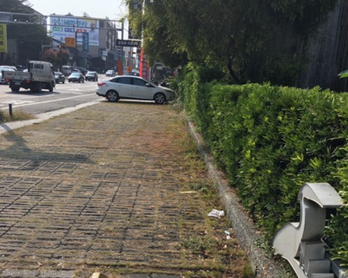 台南庭園維護, 台南園藝景觀設計, 台南庭園除草維護整理, 台南庭園整理