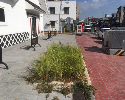 台南割草, 台南除草, 台南割草整地, 台南除草整地, 台南代客除草, 台南空地除草價格, 台南除草工, 台南整地除草費用, 
        台南建地割草, 台南整地除草, 台南建地除草