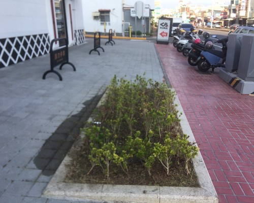 台南割草, 台南除草, 台南割草整地, 台南除草整地, 台南代客除草, 台南空地除草價格, 台南除草工, 台南整地除草費用, 
        台南建地割草, 台南整地除草, 台南建地除草