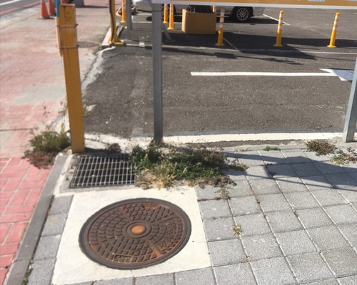 台南割草, 台南除草, 台南割草整地, 台南除草整地, 台南代客除草, 台南空地除草價格, 台南除草工, 台南整地除草費用, 
        台南建地割草, 台南整地除草, 台南建地除草