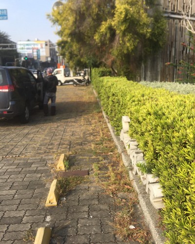 台南園藝整理, 台南樹木修剪, 台南樹木修剪, 台南修剪樹木, 台南建地除草, 台南建地割草, 台南環境清理, 台南除草景觀工程, 台南園區空地除草, 台南除草鋸樹, 台南道路除草, 
    	台南代客除草, 台南除(割)草作業, 台南割草, 台南除草, 台南割草整地, 台南除草整地, 台南空地除草價格, 台南除草工, 台南整地除草費用, 台南空地割草, 台南整地除草, 台南空地除草