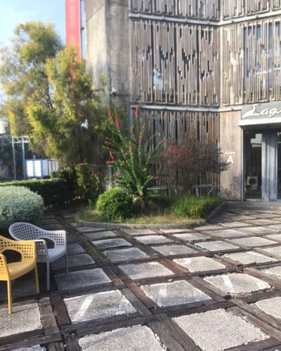 台南園藝整理, 台南樹木修剪, 台南樹木修剪, 台南修剪樹木, 台南建地除草, 台南建地割草, 台南環境清理, 台南除草景觀工程, 台南園區空地除草, 台南除草鋸樹, 台南道路除草, 
    	台南代客除草, 台南除(割)草作業, 台南割草, 台南除草, 台南割草整地, 台南除草整地, 台南空地除草價格, 台南除草工, 台南整地除草費用, 台南空地割草, 台南整地除草, 台南空地除草