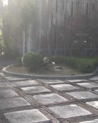 台南東區園藝整理, 台南東區樹木修剪, 台南東區樹木修剪, 台南東區修剪樹木, 台南東區建地除草, 台南東區建地割草, 台南東區環境清理, 台南東區除草景觀工程, 台南東區園區空地除草, 台南東區除草鋸樹, 台南關廟道路除草, 
    	台南東區代客除草, 台南東區除(割)草作業, 台南東區割草, 台南東區除草, 台南東區割草整地, 台南東區除草整地, 台南東區空地除草價格, 台南東區除草工, 台南東區整地除草費用, 台南東區空地割草, 台南東區整地除草, 台南東區空地除草