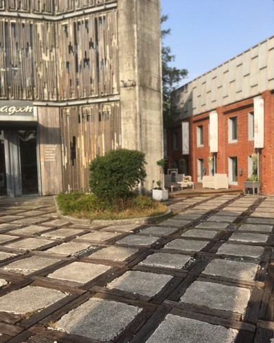 台南園藝整理, 台南樹木修剪, 台南樹木修剪, 台南修剪樹木, 台南建地除草, 台南建地割草, 台南環境清理, 台南除草景觀工程, 台南園區空地除草, 台南除草鋸樹, 台南道路除草, 
    	台南代客除草, 台南除(割)草作業, 台南割草, 台南除草, 台南割草整地, 台南除草整地, 台南空地除草價格, 台南除草工, 台南整地除草費用, 台南空地割草, 台南整地除草, 台南空地除草