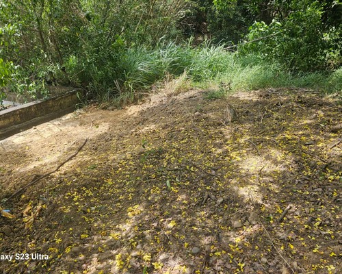 台南草皮舖植, 台南草皮鋪設, 台南草皮種植, 台南人工草皮施工, 台南草皮施工價格,
台南鋪草皮, 台南草皮鋪設, 台南公司草皮鋪設, 台南公園鋪草皮, 台南工廠外圍鋪草皮, 台南社區庭園鋪草皮, 台南別墅住家鋪草皮