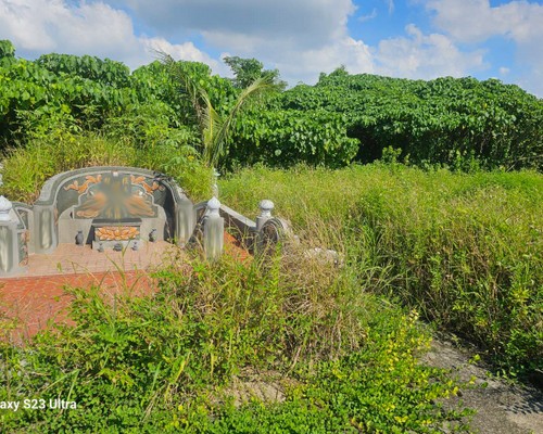 台南西港墓地除草, 台南西港墓地鋸樹, 台南西港墓地環境整理, 台南西港墓地除草, 台南西港墓園定期除草, 台南西港墓園除草, 台南西港割草, 台南西港除草, 台南西港割草整地, 台南西港除草整地, 台南西港代客除草, 台南西港空地除草價格, 台南西港除草工, 台南西港整地除草費用, 
        台南西港建地割草, 台南西港整地除草, 台南西港建地除草