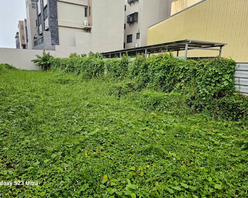 台南居家庭園除草清運, 台南居家庭園整理, 台南社區庭園整理, 
                    台南除草清運, 台南建地除草, 台南鋸樹, 台南環境整理, 台南建地割草, 台南環境清理, 台南除草景觀工程, 台南重劃土地除草, 台南果樹農地除草, 
                    台南園區空地除草, 台南除草鋸樹, 台南墓地清理, 台南道路除草, 台南圍籬工程除草, 台南代客除草, 台南除(割)草作業, 台南割草, 台南除草, 
                    台南割草整地, 台南除草整地, 台南空地除草價格, 台南除草工, 台南整地除草費用, 台南空地割草, 台南整地除草, 台南空地除草