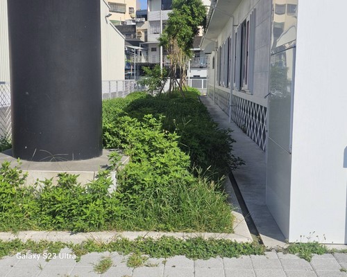 台南樹木移除, 台南樹木修剪, 台南景觀園藝庭園維護, 
                    台南墓地除草整理, 台南庭園環境整理, 台南門市除草, 台南園藝除草, 台南園藝整理, 台南環境維護, 台南定期除草, 台南庭園維護, 
                    台南園藝景觀維護除草