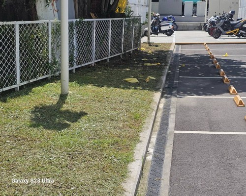 台南樹木移除, 台南市樹木修剪, 台南市景觀園藝庭園維護, 
                    台南墓地除草整理, 台南市庭園環境整理, 台南市門市除草, 台南市園藝除草, 台南市園藝整理, 台南市環境維護, 台南市定期除草, 台南市庭園維護, 
                    台南市園藝景觀維護除草
