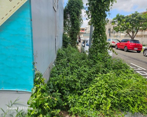 台南樹木移除, 台南樹木修剪, 台南景觀園藝庭園維護,
台南墓地除草整理, 台南庭園環境整理, 台南門市除草, 台南園藝除草, 台南園藝整理, 台南環境維護, 台南定期除草, 台南庭園維護,
台南園藝景觀維護除草