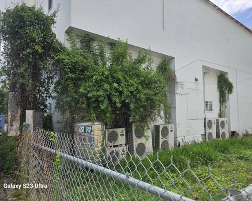 台南樹木移除, 台南樹木修剪, 台南景觀園藝庭園維護,
台南墓地除草整理, 台南庭園環境整理, 台南門市除草, 台南園藝除草, 台南園藝整理, 台南環境維護, 台南定期除草, 台南庭園維護,
台南園藝景觀維護除草