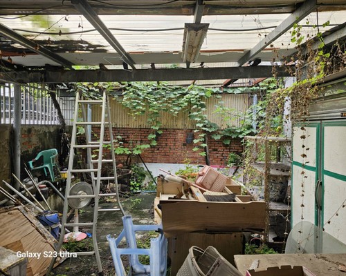 台南樹木移除, 台南樹木修剪, 台南景觀園藝庭園維護,
台南墓地除草整理, 台南庭園環境整理, 台南門市除草, 台南園藝除草, 台南園藝整理, 台南環境維護, 台南定期除草, 台南庭園維護,
台南園藝景觀維護除草