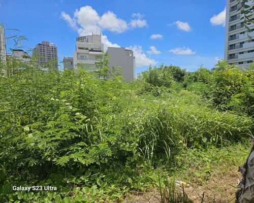 台南樹木移除, 台南樹木修剪, 台南景觀園藝庭園維護, 
                    台南墓地除草整理, 台南庭園環境整理, 台南門市除草, 台南園藝除草, 台南園藝整理, 台南環境維護, 台南定期除草, 台南庭園維護, 
                    台南園藝景觀維護除草