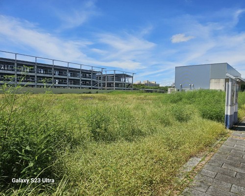 台南樹木移除, 台南樹木修剪, 台南景觀園藝庭園維護, 
                    台南墓地除草整理, 台南庭園環境整理, 台南門市除草, 台南園藝除草, 台南園藝整理, 台南環境維護, 台南定期除草, 台南庭園維護, 
                    台南園藝景觀維護除草