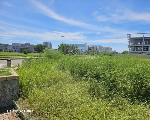 台南樹木移除, 台南樹木修剪, 台南景觀園藝庭園維護, 
                    台南墓地除草整理, 台南庭園環境整理, 台南門市除草, 台南園藝除草, 台南園藝整理, 台南環境維護, 台南定期除草, 台南庭園維護, 
                    台南園藝景觀維護除草