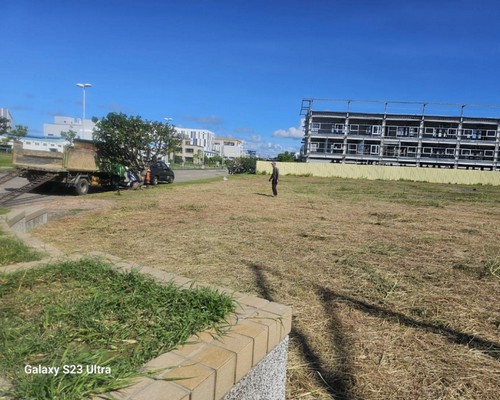 台南樹木移除, 台南市樹木修剪, 台南市景觀園藝庭園維護, 
                    台南墓地除草整理, 台南市庭園環境整理, 台南市門市除草, 台南市園藝除草, 台南市園藝整理, 台南市環境維護, 台南市定期除草, 台南市庭園維護, 
                    台南市園藝景觀維護除草