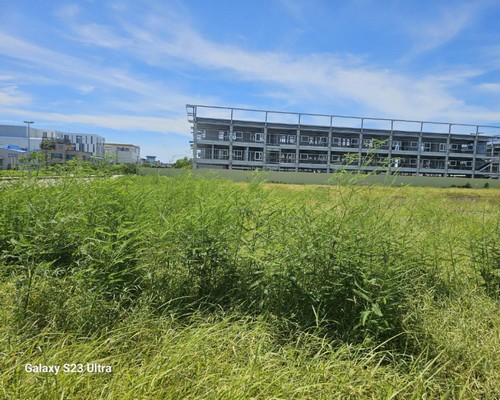 台南樹木移除, 台南樹木修剪, 台南景觀園藝庭園維護, 
                    台南墓地除草整理, 台南庭園環境整理, 台南門市除草, 台南園藝除草, 台南園藝整理, 台南環境維護, 台南定期除草, 台南庭園維護, 
                    台南園藝景觀維護除草