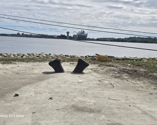 台南樹木移除, 台南樹木修剪, 台南景觀園藝庭園維護, 台南墓地除草整理, 台南庭園環境整理, 台南門市除草, 台南園藝除草