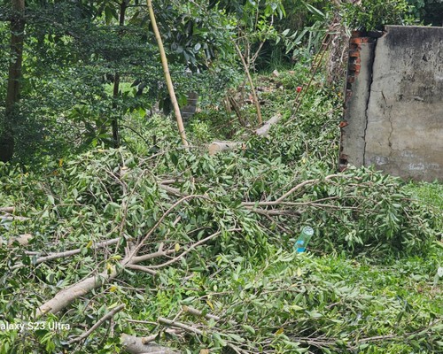 台南樹木移除, 台南樹木修剪, 台南景觀園藝庭園維護, 
                    台南墓地除草整理, 台南庭園環境整理, 台南門市除草, 台南園藝除草, 台南園藝整理, 台南環境維護, 台南定期除草, 台南庭園維護, 
                    台南園藝景觀維護除草