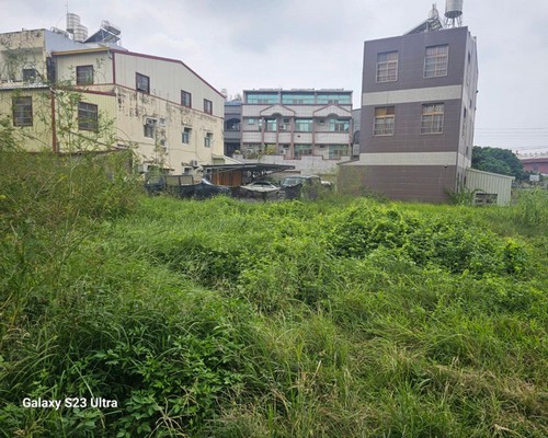台南建地割草, 台南代客除草價格行情?, 台南除草公司推薦,
台南除草價格, 台南門市除草, 台南園藝除草, 台南定期除草