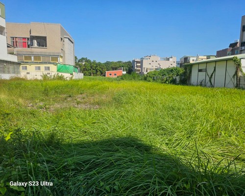 台南建地割草, 台南代客除草價格行情?, 台南除草公司推薦,
台南除草價格, 台南門市除草, 台南園藝除草, 台南定期除草