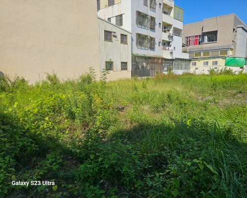 台南建地割草, 台南代客除草價格行情?, 台南除草公司推薦,
台南除草價格, 台南門市除草, 台南園藝除草, 台南定期除草