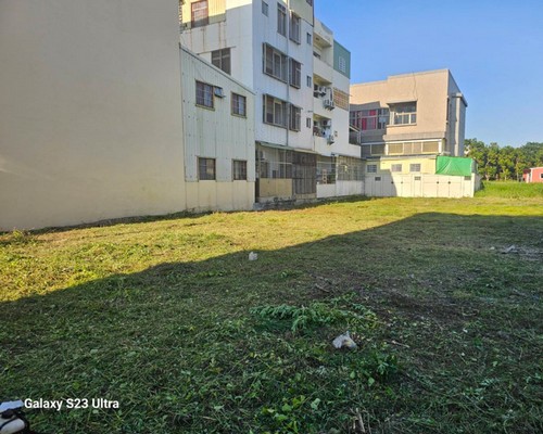 台南建地割草, 台南代客除草價格行情?, 台南除草公司推薦,
台南除草價格, 台南門市除草, 台南園藝除草, 台南定期除草