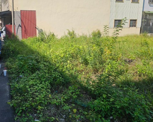 台南建地割草, 台南代客除草價格行情?, 台南除草公司推薦,
台南除草價格, 台南門市除草, 台南園藝除草, 台南定期除草