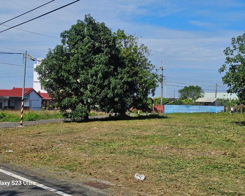 台南建地割草, 台南代客除草價格行情?, 台南除草公司推薦, 台南除草價格, 台南門市除草, 台南園藝除草, 台南定期除草