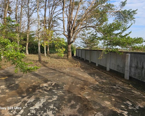 台南除草公司推薦, 台南除草價格, 台南祖厝墓園割草整理, 台南墓地除草, 台南墓地鋸樹, 
                    台南墓地環境整理, 台南割草, 台南除草, 台南割草整地, 台南除草整地, 台南代客除草, 台南空地除草價格, 台南除草工, 台南整地除草費用, 台南空地割草, 
                    台南整地除草, 台南空地除草