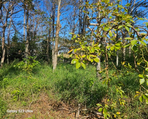 台南除草公司推薦, 台南除草價格, 台南祖厝墓園割草整理, 台南墓地除草, 台南墓地鋸樹, 
                    台南墓地環境整理, 台南割草, 台南除草, 台南割草整地, 台南除草整地, 台南代客除草, 台南空地除草價格, 台南除草工, 台南整地除草費用, 台南空地割草, 
                    台南整地除草, 台南空地除草