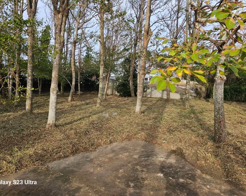 台南中西區除草公司推薦, 台南中西區除草價格, 台南中西區祖厝墓園割草整理, 台南中西區墓地除草, 台南中西區墓地鋸樹, 
                    台南中西區墓地環境整理, 台南中西區割草, 台南中西區除草, 台南中西區割草整地, 台南中西區除草整地, 台南中西區代客除草, 台南中西區空地除草價格, 台南中西區除草工, 台南中西區整地除草費用, 台南中西區空地割草, 
                    台南中西區整地除草, 台南中西區空地除草