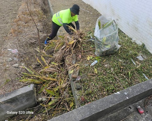 台南建地割草, 台南環境整理, 台南除草環境整理, 台南鋸樹, 
                    台南圍籬鋸樹, 台南圍牆除草, 台南樹木移除, 台南樹木修剪, 台南景觀園藝庭園維護, 台南庭園環境整理, 台南除草, 台南園藝除草, 
                    台南園藝整理, 台南環境維護, 台南定期除草, 台南庭園維護, 台南園藝景觀維護