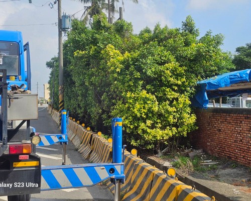 台南佳里建地割草, 台南佳里環境整理, 台南佳里除草環境整理, 台南佳里鋸樹, 台南佳里圍籬鋸樹, 台南佳里圍牆除草, 台南佳里樹木移除, 
                            台南佳里樹木修剪, 台南佳里景觀園藝庭園維護, 台南佳里庭園環境整理, 台南佳里除草, 台南佳里園藝除草, 台南佳里園藝整理, 台南佳里環境維護, 
                            台南佳里定期除草, 台南佳里庭園維護, 台南佳里園藝景觀維護