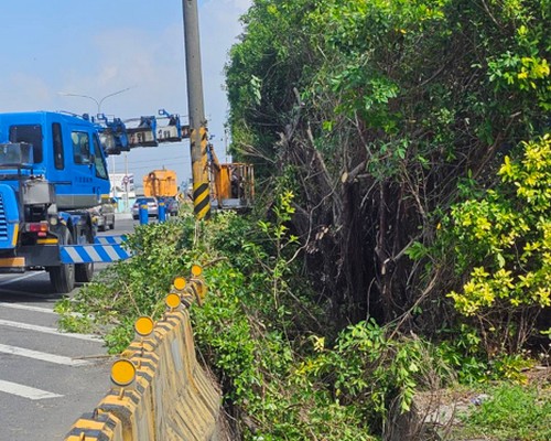 台南建地割草, 佳里環境整理, 佳里除草環境整理, 佳里鋸樹, 佳里圍籬鋸樹, 佳里圍牆除草, 佳里樹木移除, 
                            佳里樹木修剪, 佳里景觀園藝庭園維護, 佳里庭園環境整理, 佳里除草, 佳里園藝除草, 佳里園藝整理, 佳里環境維護, 
                            佳里定期除草, 佳里庭園維護, 佳里園藝景觀維護