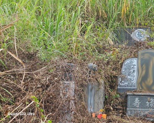 台南墓地除草, 台南墓地鋸樹, 台南墓地環境整理, 台南割草, 台南除草, 台南割草整地, 台南除草整地, 台南代客除草, 台南空地除草價格, 台南除草工, 台南整地除草費用, 
        台南墓園整理, 台南整地除草, 台南空地除草