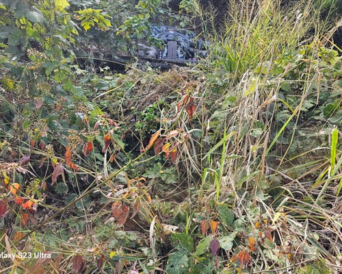 台南墓地除草, 台南墓地鋸樹, 台南墓地環境整理, 台南割草, 台南除草, 台南割草整地, 台南除草整地, 台南代客除草, 台南空地除草價格, 台南除草工, 台南整地除草費用, 
        台南墓園整理, 台南整地除草, 台南空地除草