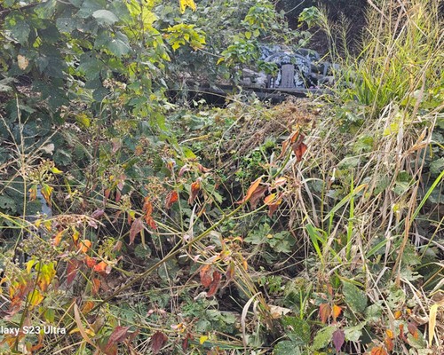 台南墓地除草, 台南墓地鋸樹, 台南墓地環境整理, 台南割草, 台南除草, 台南割草整地, 台南除草整地, 台南代客除草, 台南空地除草價格, 台南除草工, 台南整地除草費用, 
        台南墓園整理, 台南整地除草, 台南空地除草