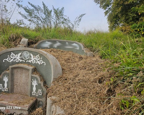 台南墓地除草, 台南墓園定期除草, 台南墓園除草, 台南割草, 台南除草, 台南割草整地, 台南除草整地, 台南代客除草, 台南空地除草價格, 台南除草工, 台南整地除草費用, 
        台南建地割草, 台南整地除草, 台南建地除草