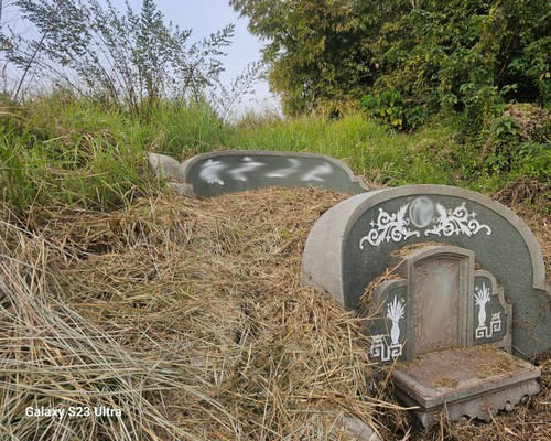 台南墓地除草, 台南墓園定期除草, 台南墓園除草, 台南割草, 台南除草, 台南割草整地, 台南除草整地, 台南代客除草, 台南空地除草價格, 台南除草工, 台南整地除草費用, 
        台南建地割草, 台南整地除草, 台南建地除草