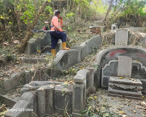 台南墓地除草, 台南墓園定期除草, 台南墓園除草, 台南割草, 台南除草, 台南割草整地, 台南除草整地, 台南代客除草, 台南空地除草價格, 台南除草工, 台南整地除草費用, 
        台南建地割草, 台南整地除草, 台南建地除草