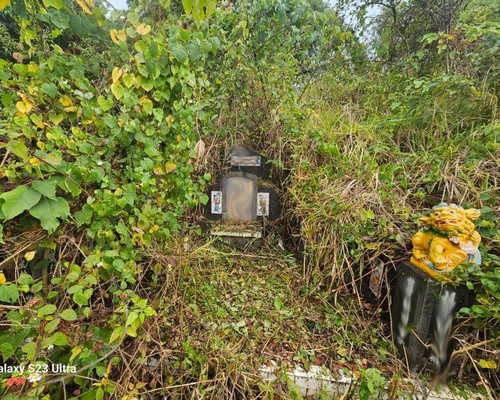 台南墓地除草, 台南墓園定期除草, 台南墓園除草, 台南割草, 台南除草, 台南割草整地, 台南除草整地, 台南代客除草, 台南空地除草價格, 台南除草工, 台南整地除草費用, 
        台南建地割草, 台南整地除草, 台南建地除草